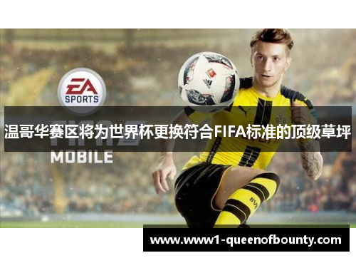 温哥华赛区将为世界杯更换符合FIFA标准的顶级草坪 温哥华赛区将为世界杯更换符合FIFA标准的顶级草坪